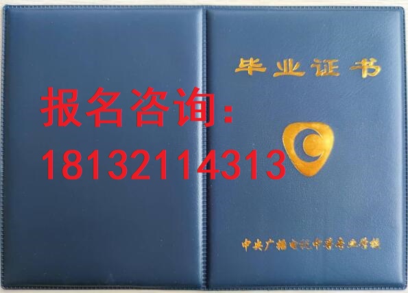 電大中?？荚囋趺崔k